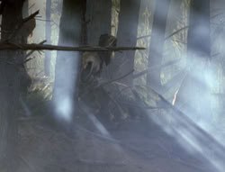 extant_XenaWarriorPrincess_4x02-AdventuresInTheSinTradeII_00075