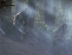 extant_XenaWarriorPrincess_4x02-AdventuresInTheSinTradeII_00079