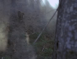 extant_XenaWarriorPrincess_4x02-AdventuresInTheSinTradeII_00083