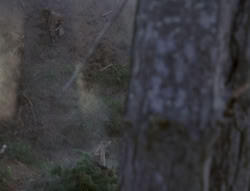 extant_XenaWarriorPrincess_4x02-AdventuresInTheSinTradeII_00084