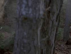 extant_XenaWarriorPrincess_4x02-AdventuresInTheSinTradeII_00085