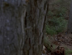 extant_XenaWarriorPrincess_4x02-AdventuresInTheSinTradeII_00086