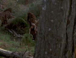 extant_XenaWarriorPrincess_4x02-AdventuresInTheSinTradeII_00096