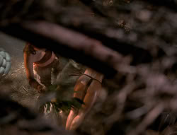 extant_XenaWarriorPrincess_4x02-AdventuresInTheSinTradeII_00220