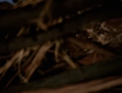 extant_XenaWarriorPrincess_4x02-AdventuresInTheSinTradeII_00222