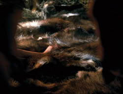extant_XenaWarriorPrincess_4x02-AdventuresInTheSinTradeII_00248