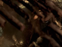 extant_XenaWarriorPrincess_4x02-AdventuresInTheSinTradeII_00297
