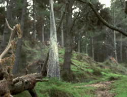 extant_XenaWarriorPrincess_4x02-AdventuresInTheSinTradeII_00307