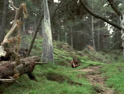 extant_XenaWarriorPrincess_4x02-AdventuresInTheSinTradeII_00308