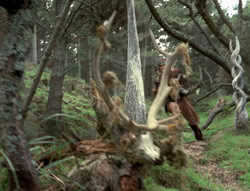 extant_XenaWarriorPrincess_4x02-AdventuresInTheSinTradeII_00310