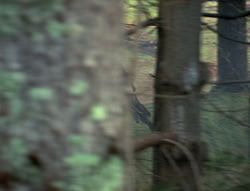 extant_XenaWarriorPrincess_4x02-AdventuresInTheSinTradeII_00314