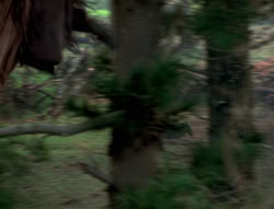 extant_XenaWarriorPrincess_4x02-AdventuresInTheSinTradeII_00316