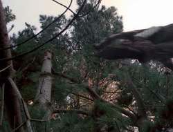 extant_XenaWarriorPrincess_4x02-AdventuresInTheSinTradeII_00325