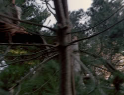 extant_XenaWarriorPrincess_4x02-AdventuresInTheSinTradeII_00326