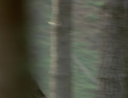 extant_XenaWarriorPrincess_4x02-AdventuresInTheSinTradeII_00346