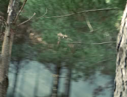 extant_XenaWarriorPrincess_4x02-AdventuresInTheSinTradeII_00355