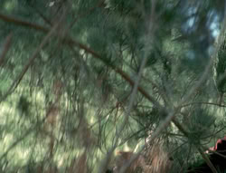 extant_XenaWarriorPrincess_4x02-AdventuresInTheSinTradeII_00356