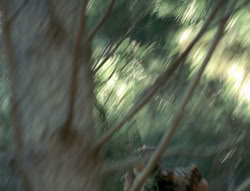 extant_XenaWarriorPrincess_4x02-AdventuresInTheSinTradeII_00357