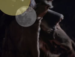 extant_XenaWarriorPrincess_4x02-AdventuresInTheSinTradeII_00912