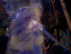 extant_XenaWarriorPrincess_4x02-AdventuresInTheSinTradeII_00940