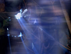 extant_XenaWarriorPrincess_4x02-AdventuresInTheSinTradeII_01019