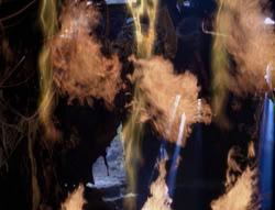 extant_XenaWarriorPrincess_4x02-AdventuresInTheSinTradeII_01059
