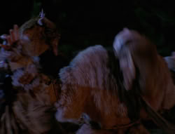 extant_XenaWarriorPrincess_4x02-AdventuresInTheSinTradeII_01253