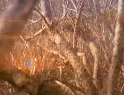 extant_XenaWarriorPrincess_4x02-AdventuresInTheSinTradeII_01351
