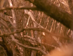 extant_XenaWarriorPrincess_4x02-AdventuresInTheSinTradeII_01354