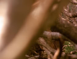 extant_XenaWarriorPrincess_4x02-AdventuresInTheSinTradeII_01358