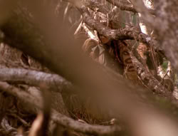 extant_XenaWarriorPrincess_4x02-AdventuresInTheSinTradeII_01360