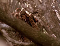 extant_XenaWarriorPrincess_4x02-AdventuresInTheSinTradeII_01361