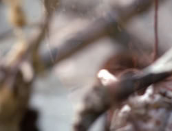 extant_XenaWarriorPrincess_4x02-AdventuresInTheSinTradeII_01436