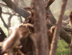 extant_XenaWarriorPrincess_4x02-AdventuresInTheSinTradeII_01445