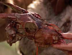 extant_XenaWarriorPrincess_4x02-AdventuresInTheSinTradeII_01466