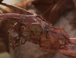 extant_XenaWarriorPrincess_4x02-AdventuresInTheSinTradeII_01467
