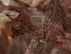 extant_XenaWarriorPrincess_4x02-AdventuresInTheSinTradeII_01468