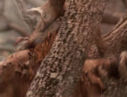 extant_XenaWarriorPrincess_4x02-AdventuresInTheSinTradeII_01469