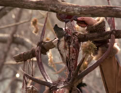 extant_XenaWarriorPrincess_4x02-AdventuresInTheSinTradeII_01479
