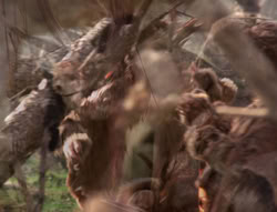 extant_XenaWarriorPrincess_4x02-AdventuresInTheSinTradeII_01485