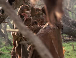 extant_XenaWarriorPrincess_4x02-AdventuresInTheSinTradeII_01486