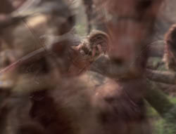 extant_XenaWarriorPrincess_4x02-AdventuresInTheSinTradeII_01490