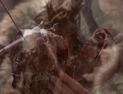 extant_XenaWarriorPrincess_4x02-AdventuresInTheSinTradeII_01491