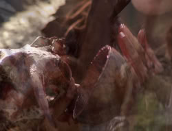 extant_XenaWarriorPrincess_4x02-AdventuresInTheSinTradeII_01492