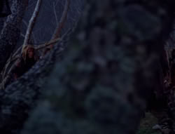 extant_XenaWarriorPrincess_4x02-AdventuresInTheSinTradeII_01509