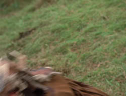 extant_XenaWarriorPrincess_4x02-AdventuresInTheSinTradeII_01825