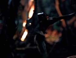 extant_XenaWarriorPrincess_4x02-AdventuresInTheSinTradeII_01918