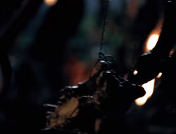extant_XenaWarriorPrincess_4x02-AdventuresInTheSinTradeII_01922