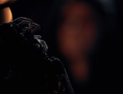 extant_XenaWarriorPrincess_4x02-AdventuresInTheSinTradeII_01941
