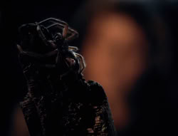 extant_XenaWarriorPrincess_4x02-AdventuresInTheSinTradeII_01943